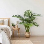 cây trầu bà nam mỹ giả